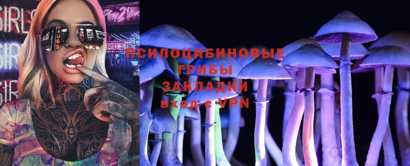 даркнет сайт  Ейск  Псилоцибиновые грибы Psilocybine cubensis 